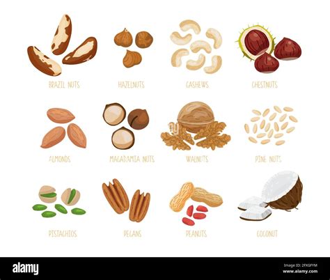 what nuts are similar to almonds